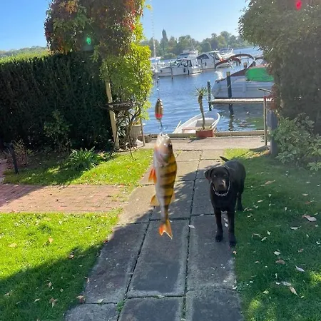 Båthotell Schiffspension Luise Potsdam