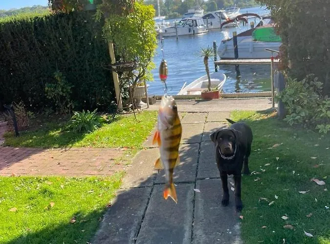 Botel Schiffspension Luise Potsdam