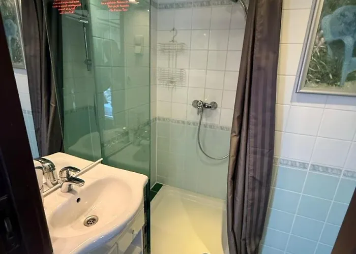 施芬斯佩申路易丝酒店 船屋 3*