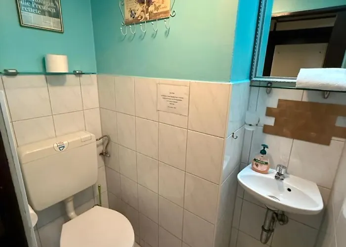 施芬斯佩申路易丝酒店 船屋 波茨坦