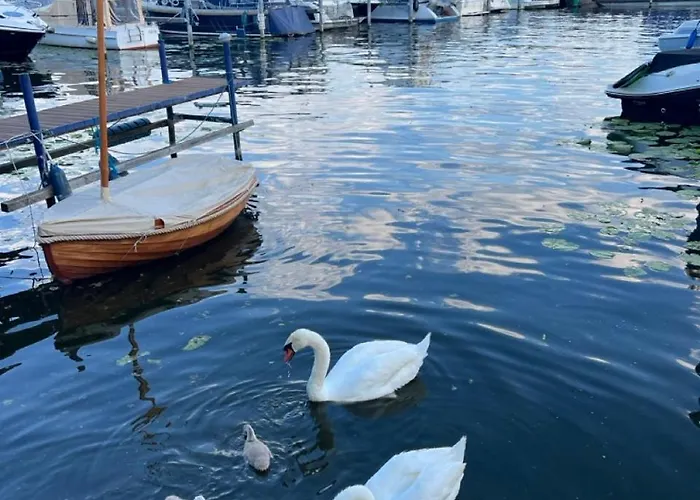 Schiffspension Luise 3*