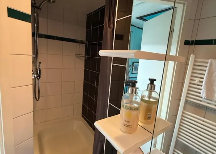 Botel Schiffspension Luise 3*